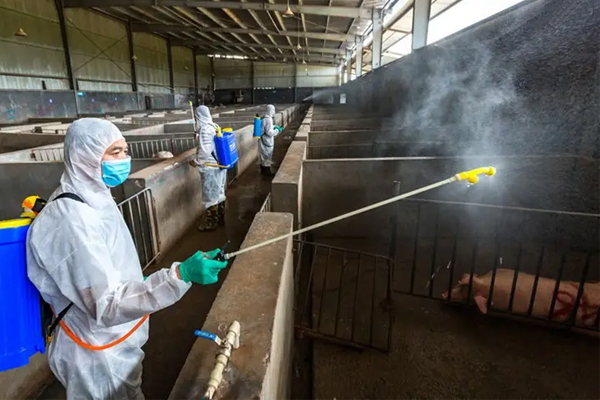 兽用消毒剂生产工厂 兽用消毒剂生产工厂